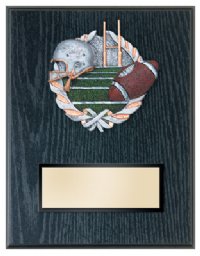 Football Plaque 6 X 8 with Full Color Mount