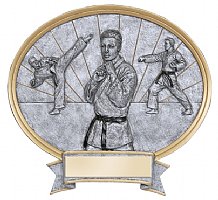Karate Male Oval Legend Resin Award