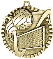 Volleyball Value Enhanced Medal