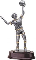 Volleyball Resin Trophy - Male Player
