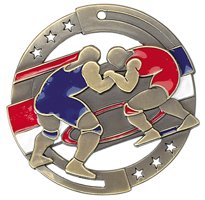 Wrestling Enamel Fill Color Medal