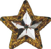 star ornament side 1.jpg (21541 bytes)