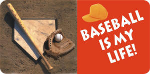 license plate - baseball is life.jpg (61564 bytes)