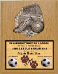 Plaque Soccer 7 X 9 oak with full color plate.jpg (49737 bytes)